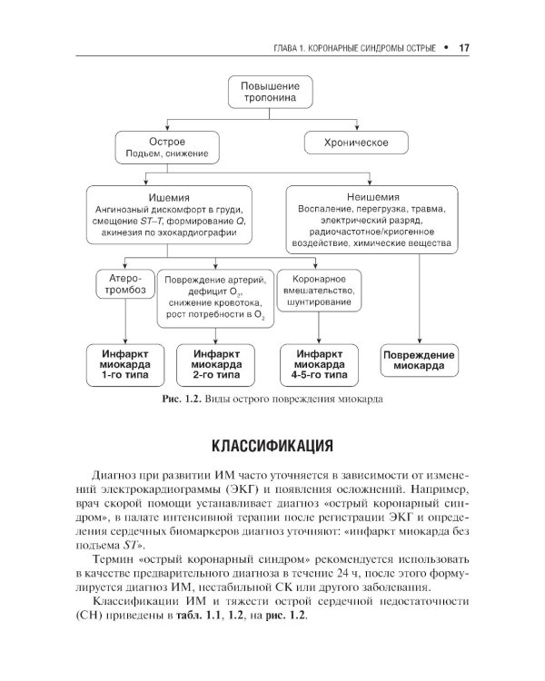 Клинические рекомендации по кардиологии и коморбидным болезням. 12-е изд., перераб. и доп
