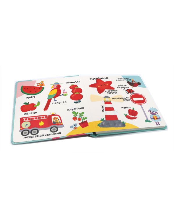 Мои первые 100 слов с большими окошками. Цвета