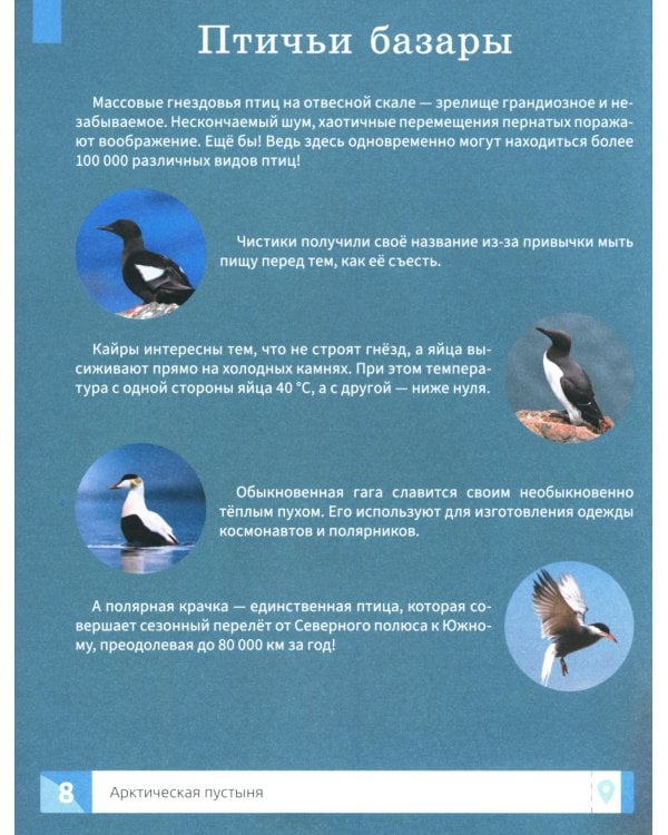 Природа России: энциклопедия