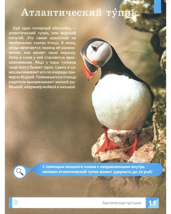 Природа России: энциклопедия