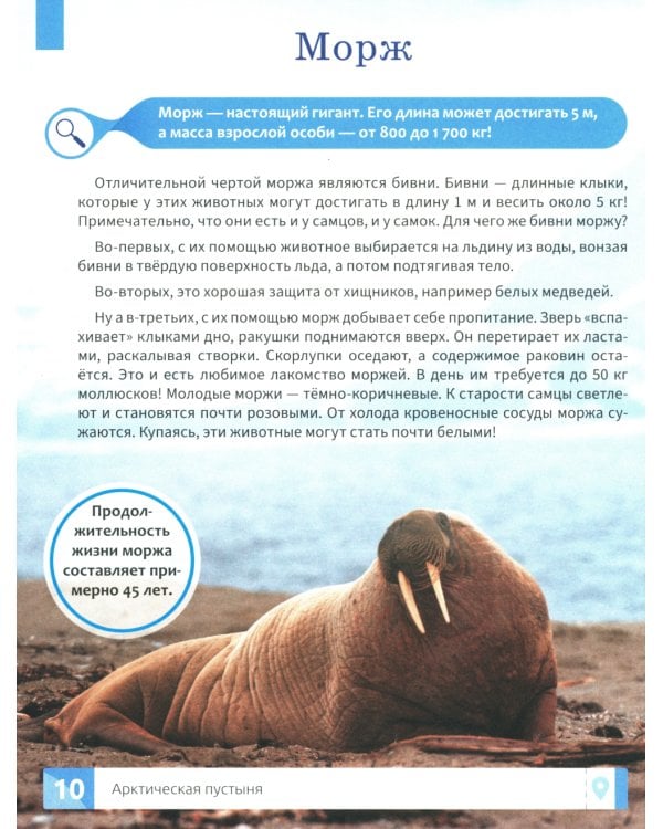 Природа России: энциклопедия