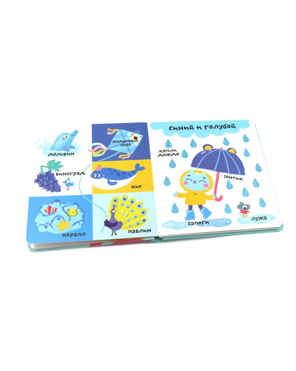 Мои первые 100 слов с большими окошками. Цвета