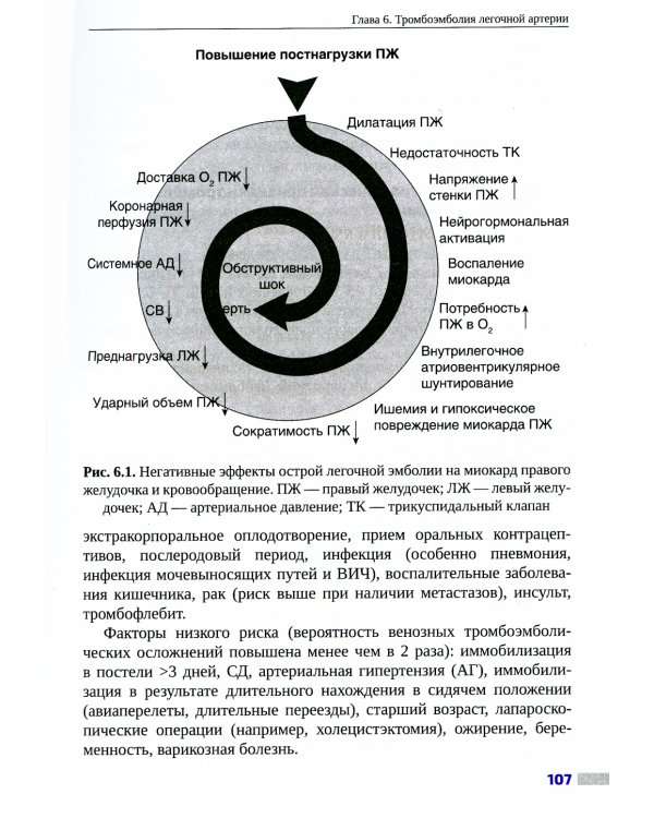 Внутренние болезни: ключевые моменты. Практическое руководство