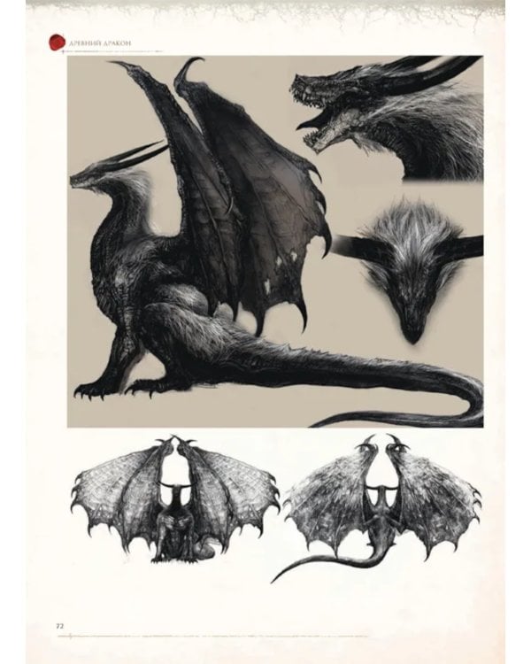 Dark Souls: Иллюстрации