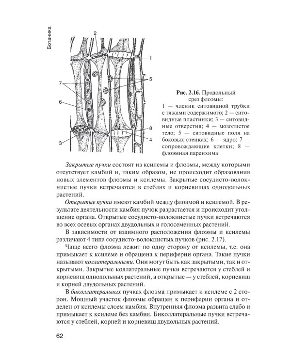 Ботаника: Учебник