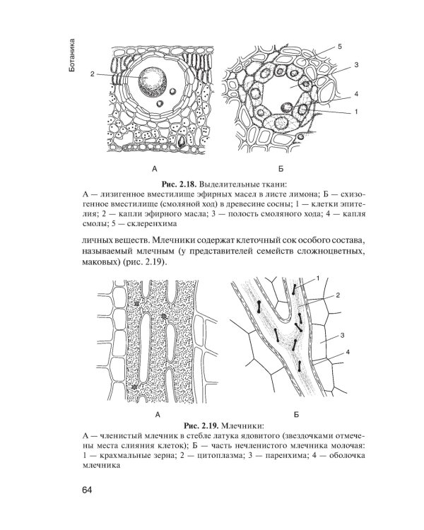 Ботаника: Учебник