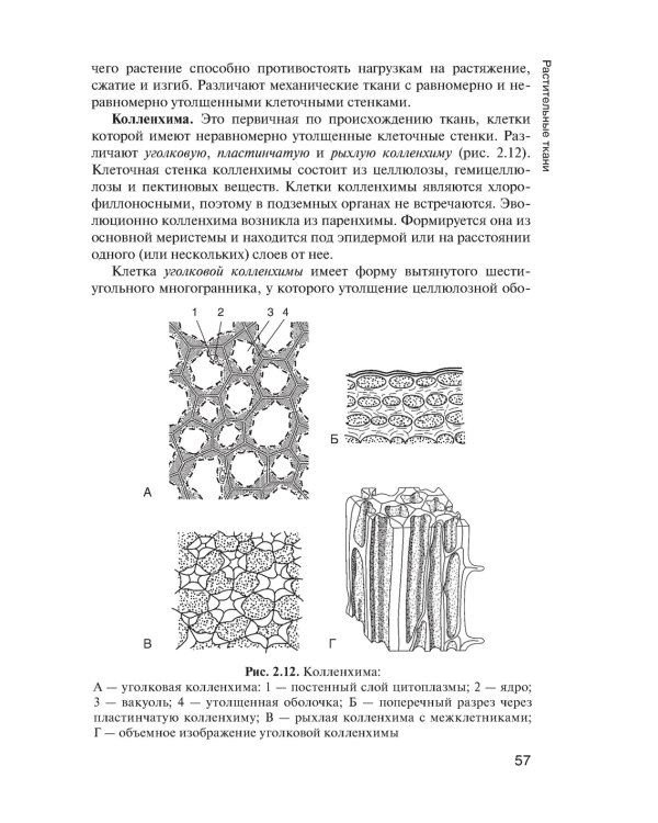 Ботаника: Учебник