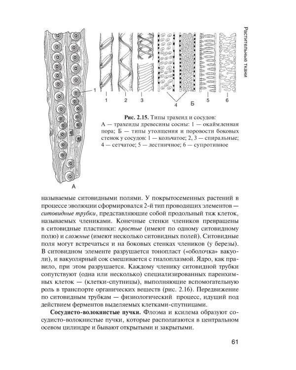 Ботаника: Учебник