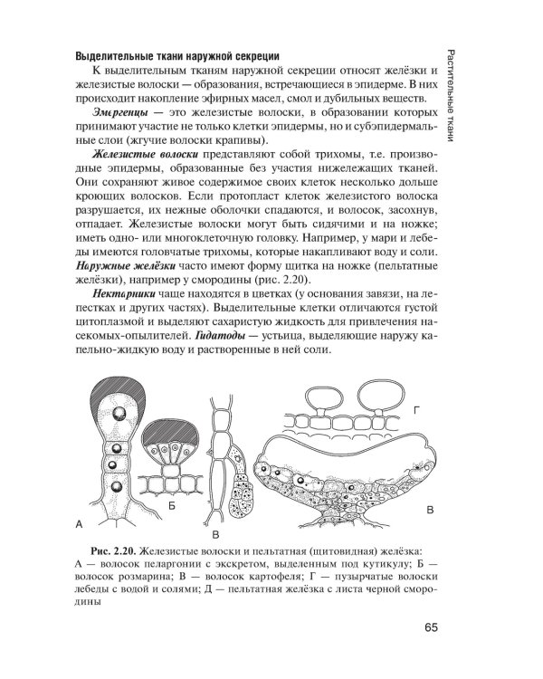 Ботаника: Учебник