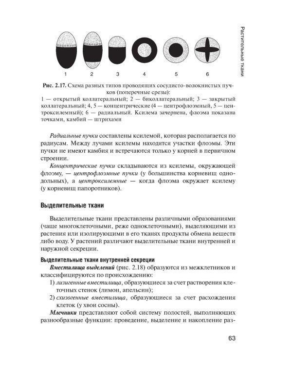 Ботаника: Учебник