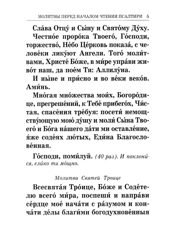 Псалтирь крупным шрифтом (пер.)