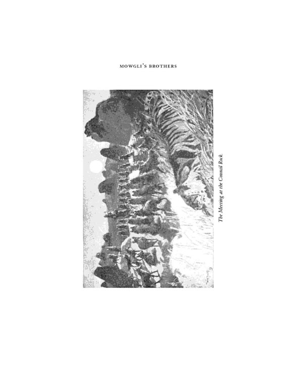 The Jungle Book & Second Jungle Book