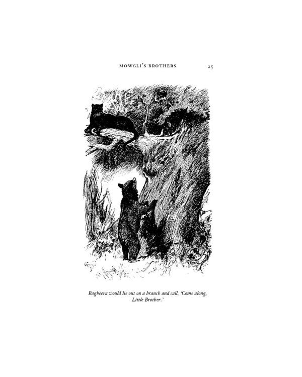 The Jungle Book & Second Jungle Book