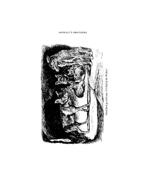 The Jungle Book & Second Jungle Book