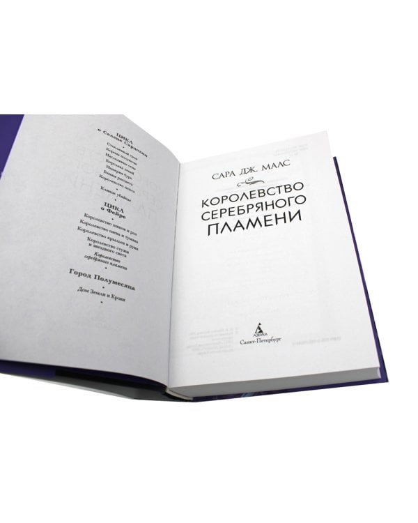 Королевство серебряного пламени: роман
