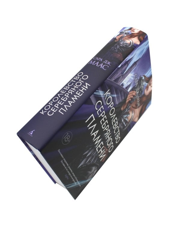 Королевство серебряного пламени: роман