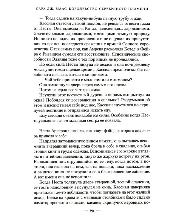 Королевство серебряного пламени: роман