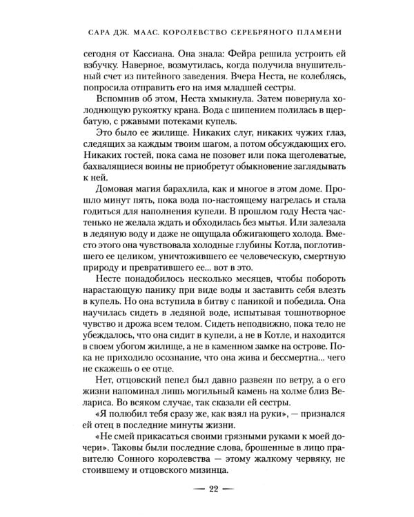 Королевство серебряного пламени: роман