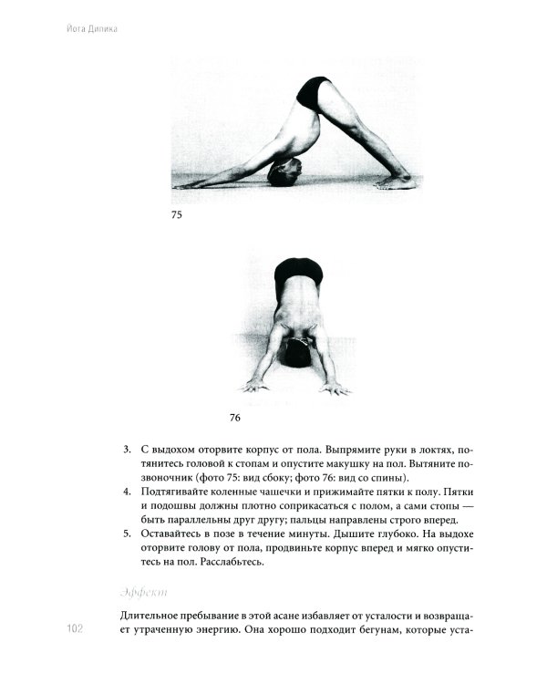 Йога Дипика: прояснение йоги. 7-е изд