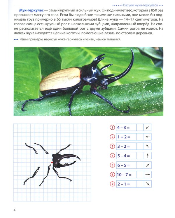 Насекомые. Графические диктанты детям 6-7 лет. ФГОС