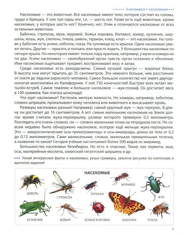 Насекомые. Графические диктанты детям 6-7 лет. ФГОС