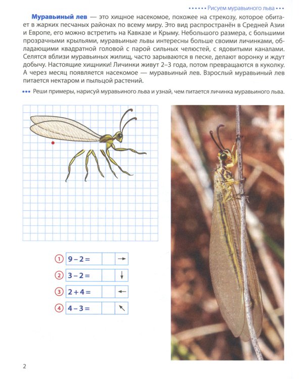 Насекомые. Графические диктанты детям 6-7 лет. ФГОС