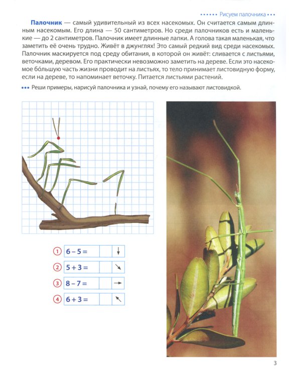 Насекомые. Графические диктанты детям 6-7 лет. ФГОС