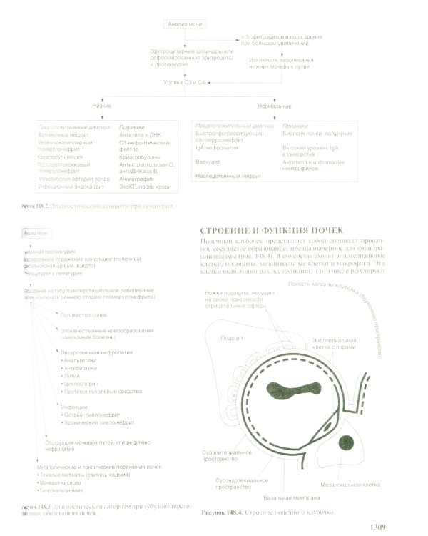 Общая врачебная практика по Джону Нобелю. В 4 кн. Кн. 4
