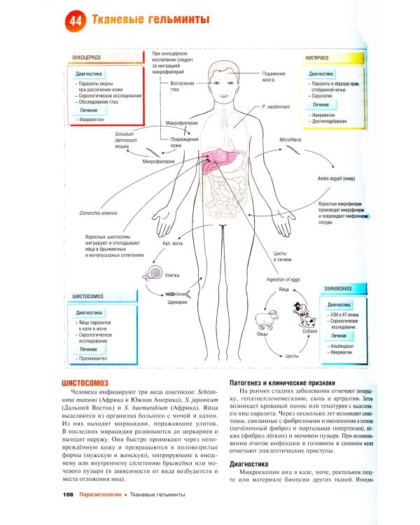 Наглядные инфекционные болезни и микробиология. 2-е изд., перераб.и доп
