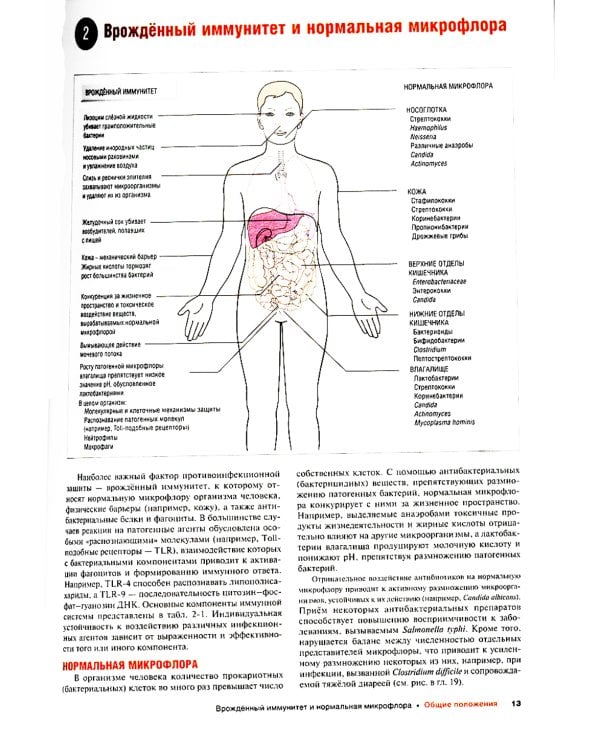 Наглядные инфекционные болезни и микробиология. 2-е изд., перераб.и доп
