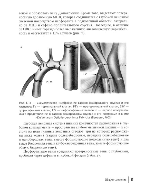 Справочник хирурга-флеболога