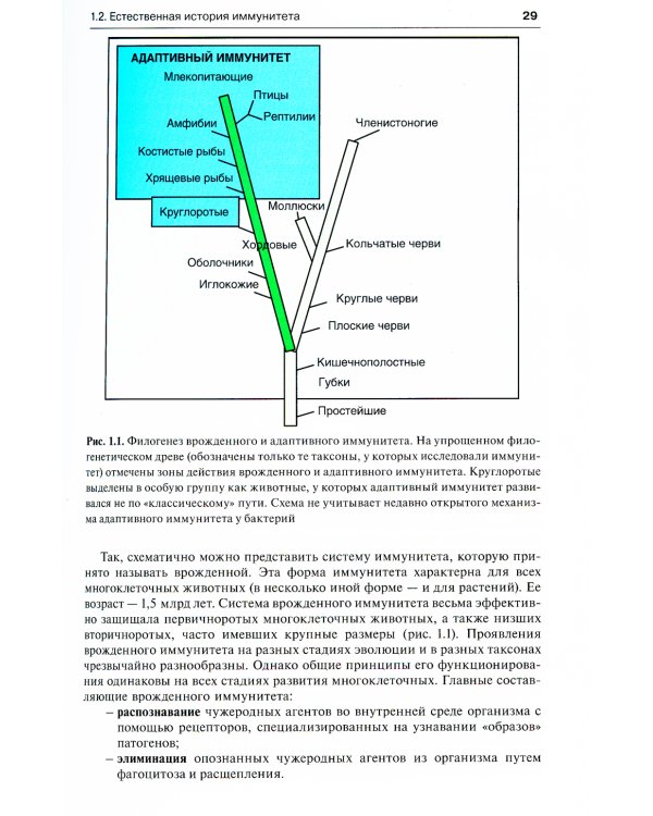 Иммунология по Ярилину: Учебник. 2-е изд., испр. и доп