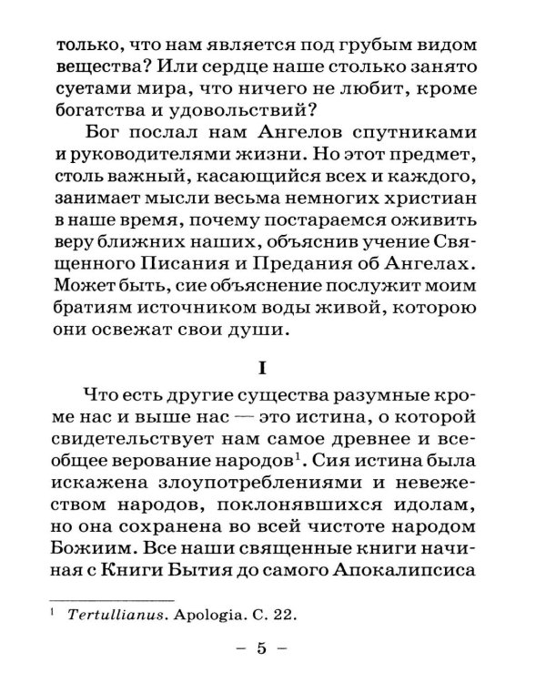 Размышления христианина об Ангеле хранителе на каждый день месяца