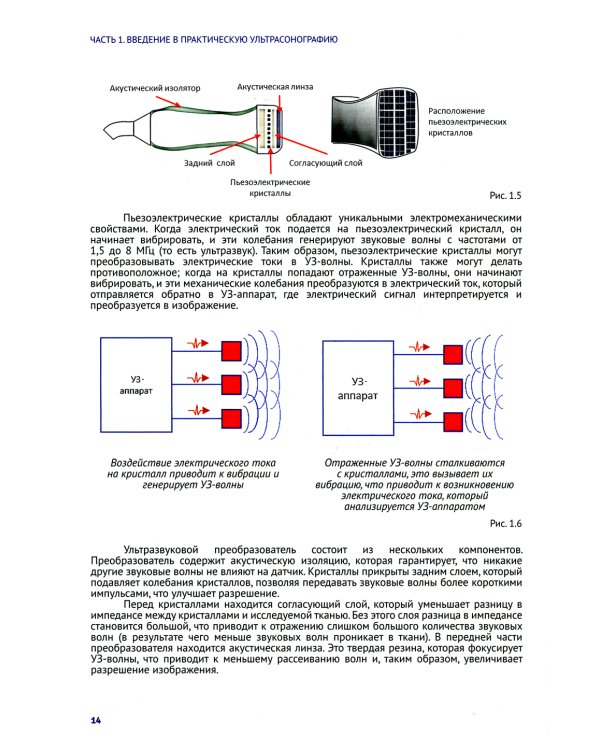 Практическая ультрасонография. Национальное руководство для врачей