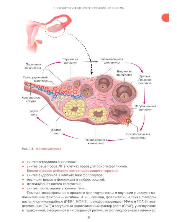 Справочник гинеколога-эндокринолога