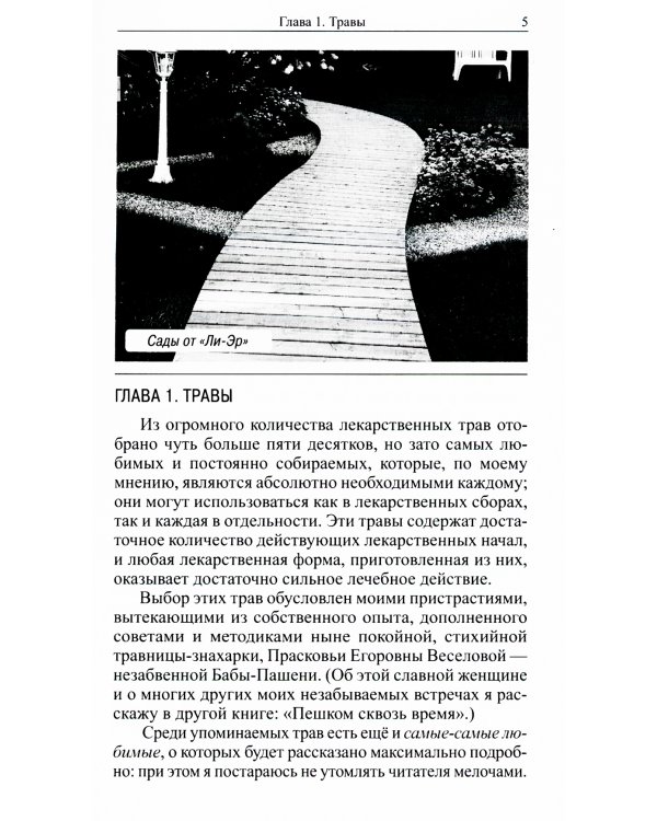 Травник знахаря. Целебные травы в вашем саду. Пятидесятитравие