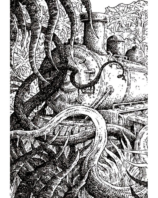 Другая земля