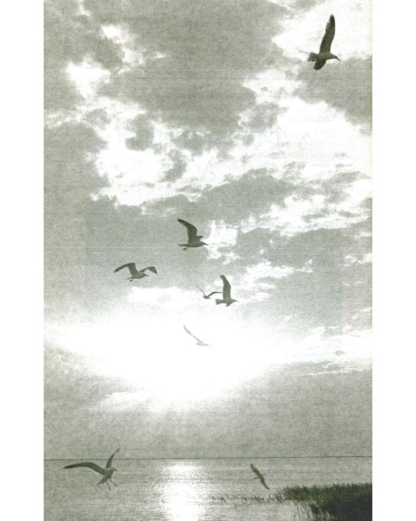 Руссиада. Утерянный рай. Непуганое поколение. Благие пожелания