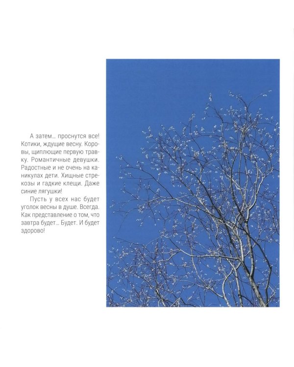 Время первоцветов