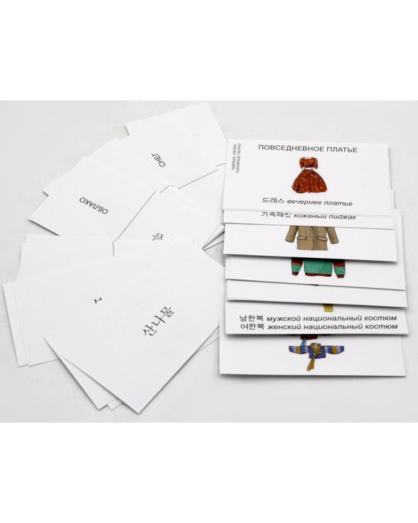 Карточки по корейскому языку. Учебное наглядное пособие (480 карточек)