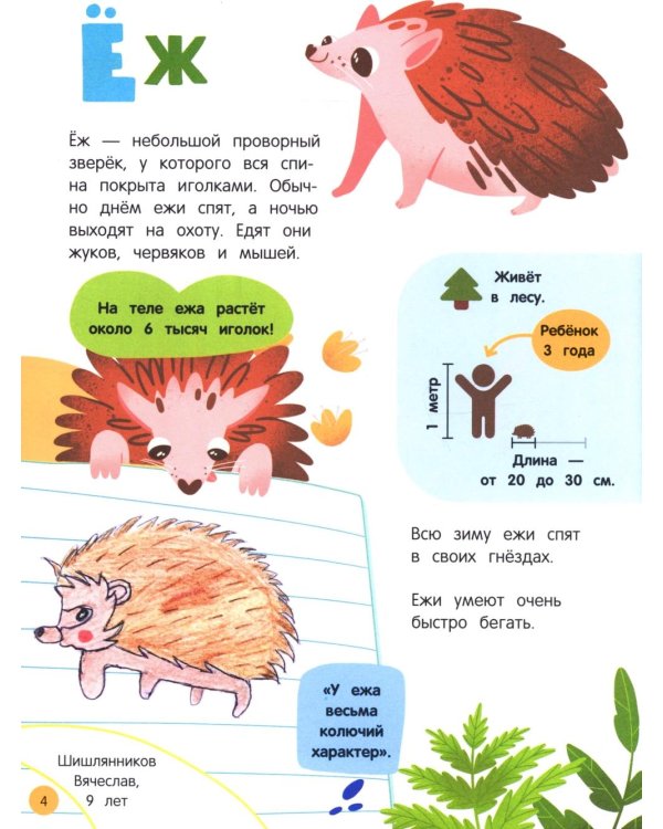 Мир животных: загадки природы глазами детей