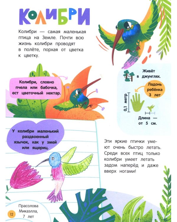 Мир животных: загадки природы глазами детей