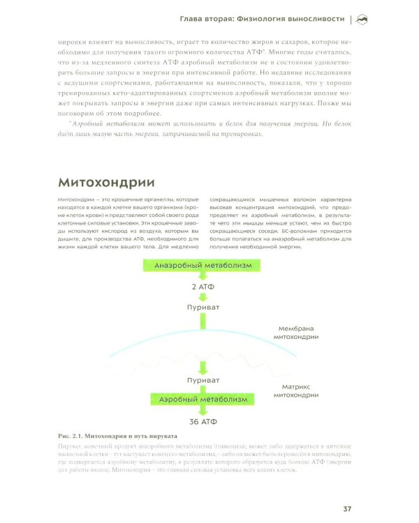 Бегущим в гору. Руководство по тренировкам для трейлраннеров и ски-альпинистов. 3-е изд