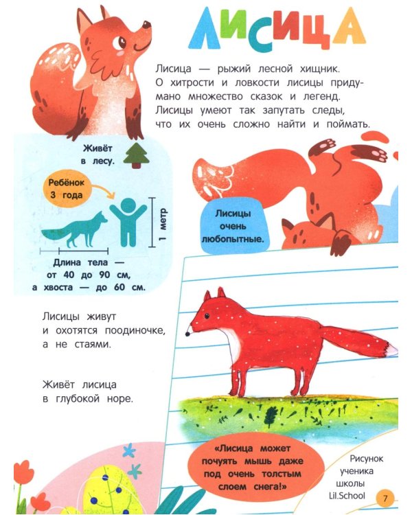 Мир животных: загадки природы глазами детей