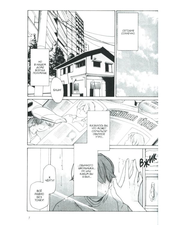 Торадора. Т. 1: манга