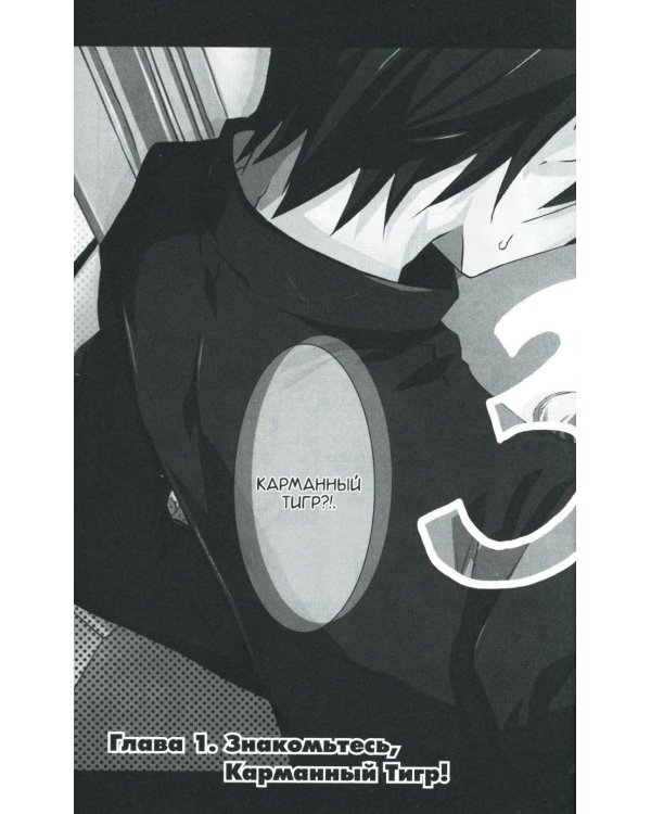 Торадора. Т. 1: манга