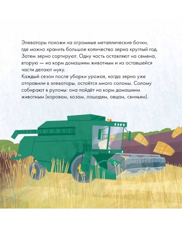 Я знаю, что я ем! Хлеб