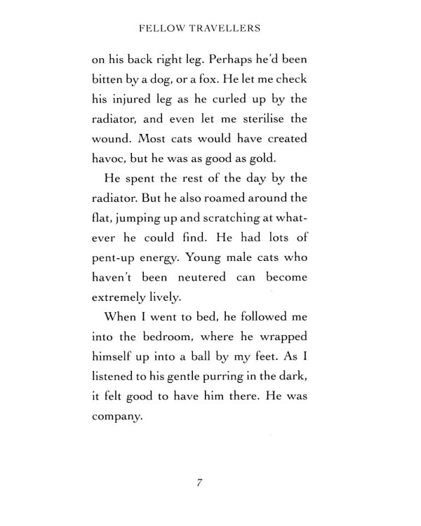 Bob. No Ordinary Cat