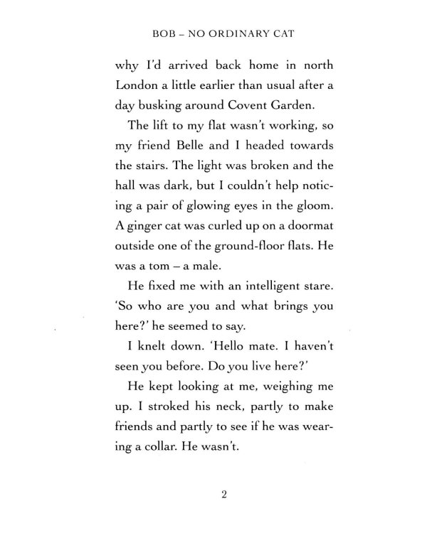 Bob. No Ordinary Cat