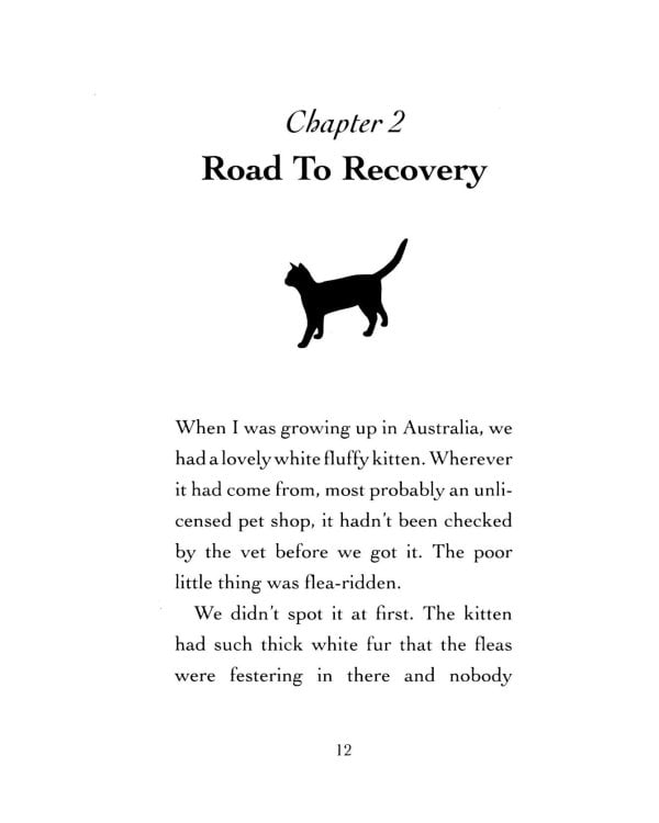 Bob. No Ordinary Cat